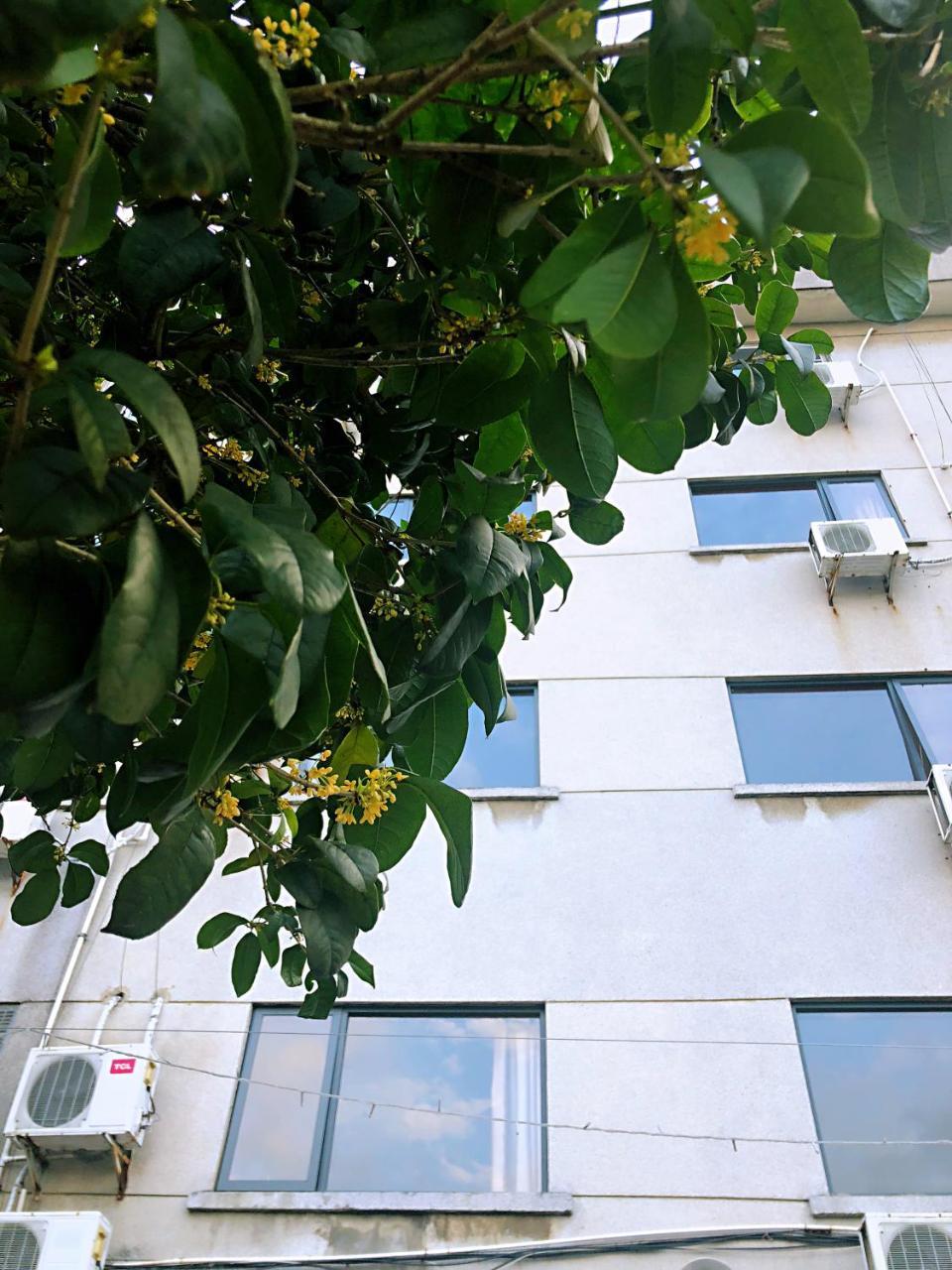 Lakeside Inn Γκουιλίν Εξωτερικό φωτογραφία